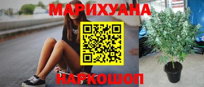 ГАЛЛЮЦИНОГЕННЫЕ ГРИБЫ Нарткала