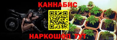 шишки Наро-Фоминск